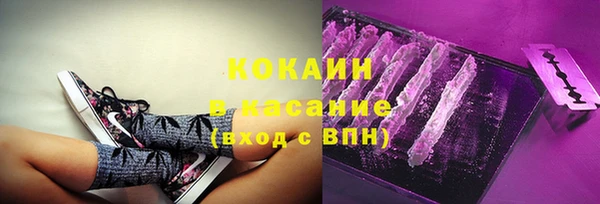 индика Алзамай