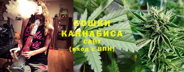 индика Алзамай