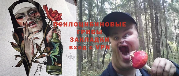 индика Алзамай