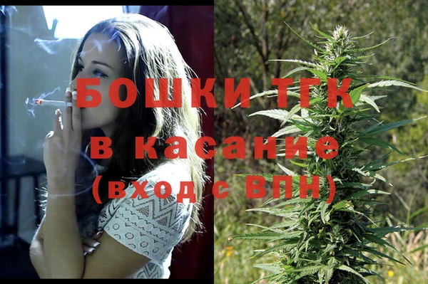 индика Алзамай