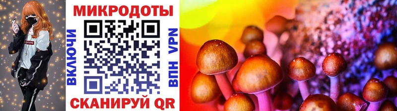 как найти наркотики  Юрьевец  Галлюциногенные грибы GOLDEN TEACHER 